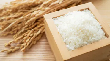 Jasmine rice